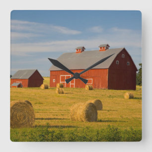 Farms   Red Barns Near Hay Bales Square Wall Clock