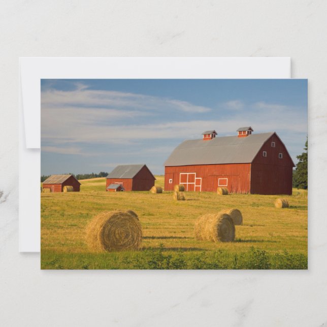 Farms | Red Barns Near Hay Bales Thank You Card (Front)