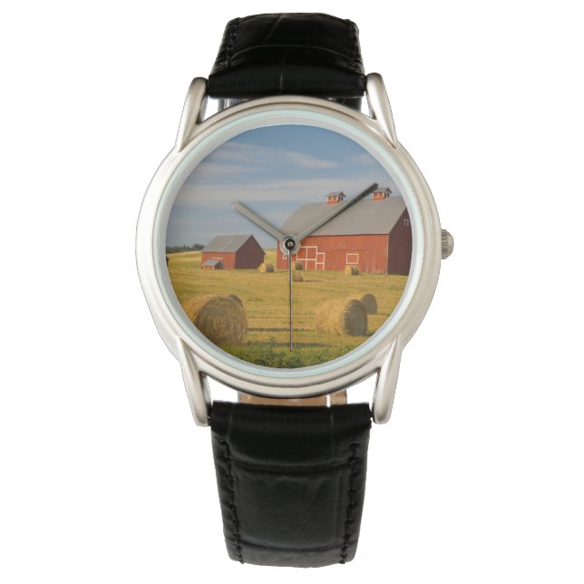 Farms | Red Barns Near Hay Bales Watch (Front)