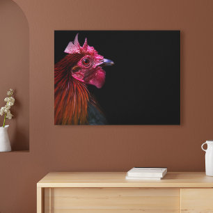 Farms   Rooster Head Shot Canvas Print