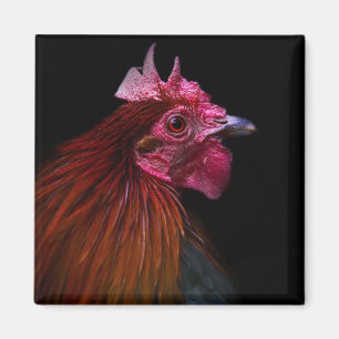 Farms   Rooster Head Shot Magnet