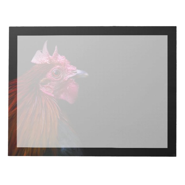 Farms | Rooster Head Shot Notepad (Front)