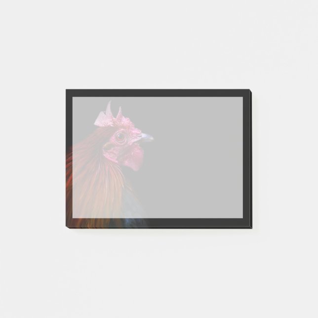 Farms | Rooster Head Shot Post-it Notes (Front)