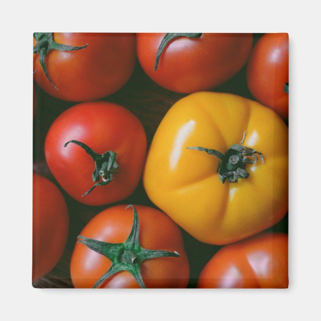 Farms | Shiny Red & Yellow Tomatoes Magnet (Front)
