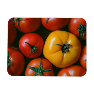 Farms   Shiny Red & Yellow Tomatoes Magnet