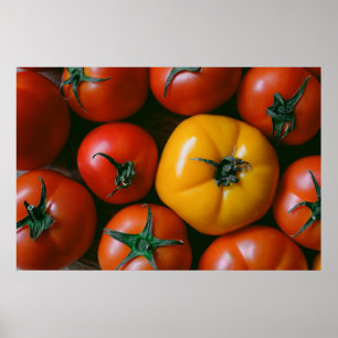 Farms   Shiny Red & Yellow Tomatoes Poster