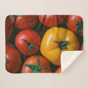 Farms Shiny Red & Yellow Tomatoes Sherpa Blanket