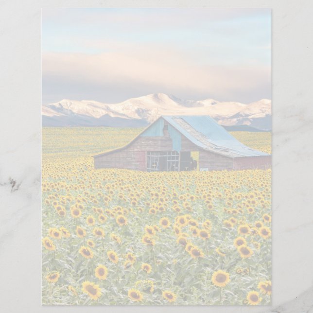 Farms | Sunflower Field (Front)