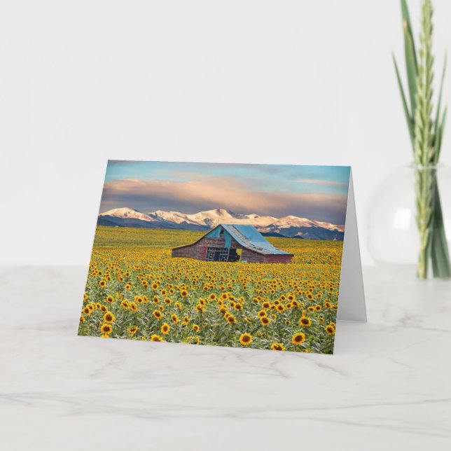 Farms | Sunflower Field Card (Front)