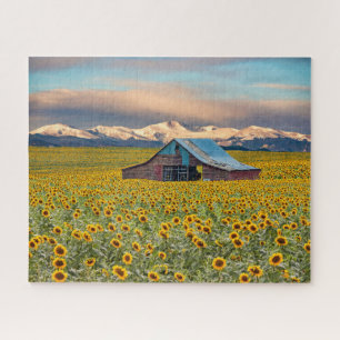 Farms   Sunflower Field Jigsaw Puzzle
