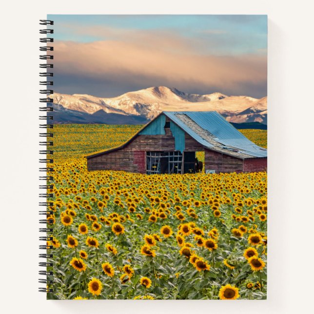 Farms | Sunflower Field Notebook (Front)