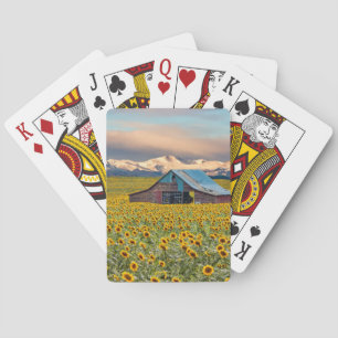 Farms Sunflower Field Playing Cards