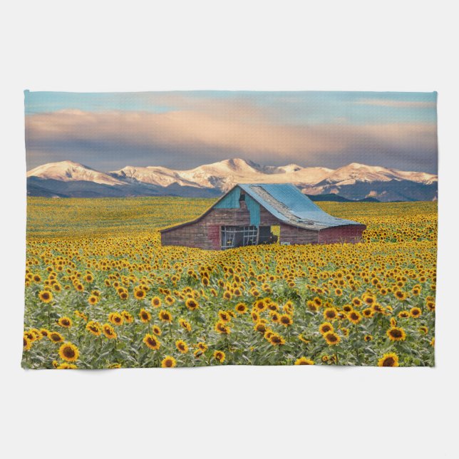 Farms | Sunflower Field Tea Towel (Horizontal)