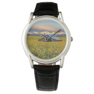 Farms Sunflower Field Watch