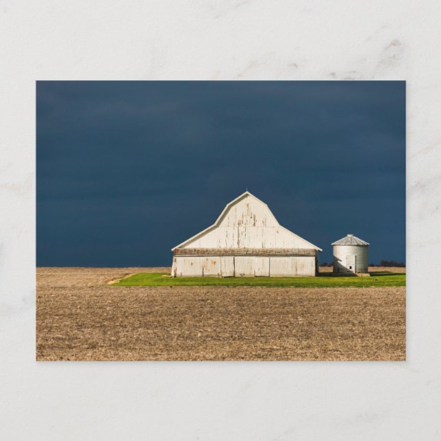 Farms | White Barn & Silo Postcard (Front)