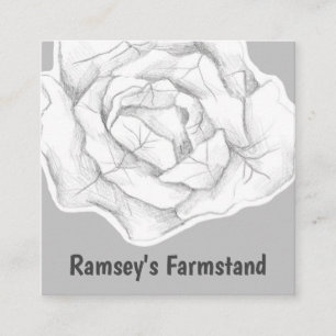 Farmstand Cabbage Vegetable Fresh Produce Square Business Card