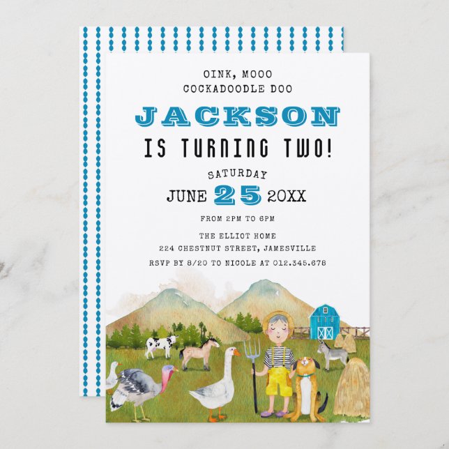 Farmyard Animals and Boy 2nd Birthday Invitation (Front/Back)