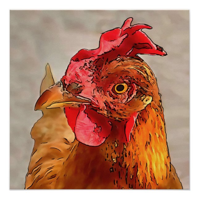 Farmyard Chicken Portrait Black Outline Art Poster (Front)