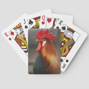 Farmyard Domestic Rooster Playing Cards