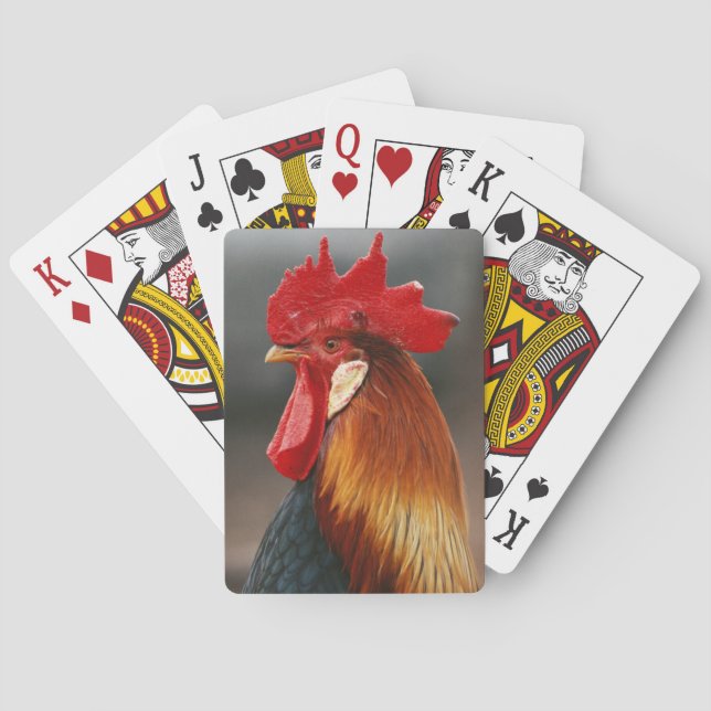 Farmyard Domestic Rooster Playing Cards (Back)