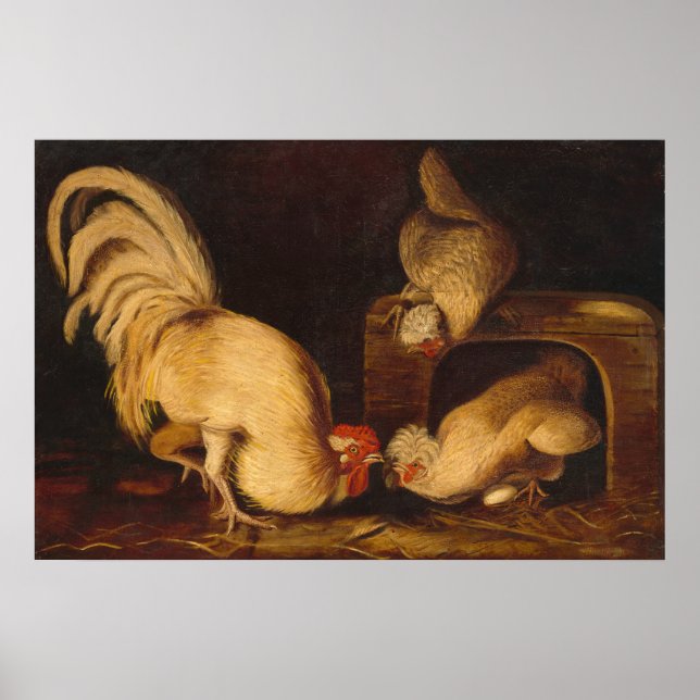 Farmyard Fowls, John James Audubon Fine Art Poster (Front)