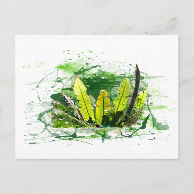 Farn, Blätter, Dschungel, Landschaft, Natur Postcard (Front)