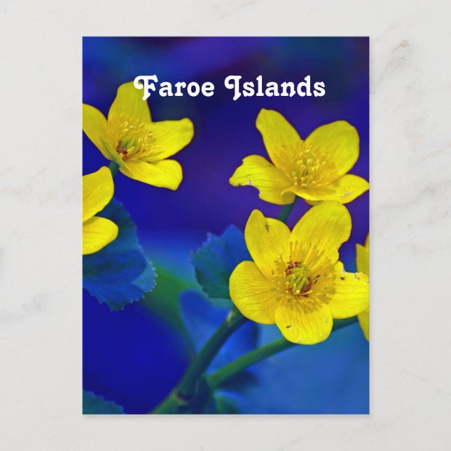 Faroe Islands Postcard (Front)