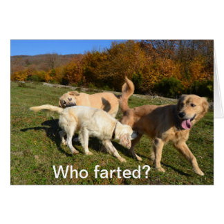 Farting