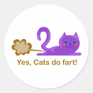 Farting cat, cat farts! classic round sticker