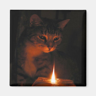 fascinated by flame magnet