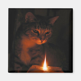 fascinated by flame magnet