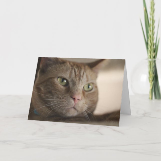 Fascinated Card (Front)