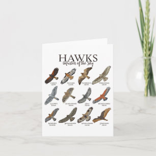 Fascinating Birds Of Prey - Types Of Hawks Card