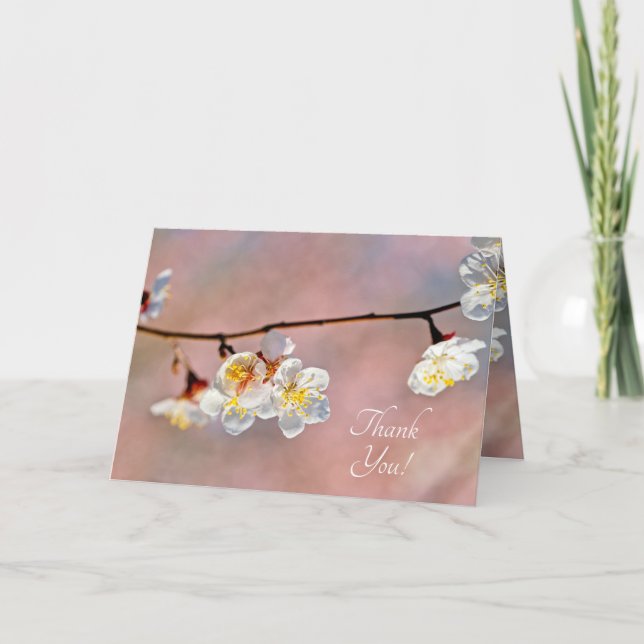 Fascinating Japanese Apricot Flowers Thank You Card (Front)