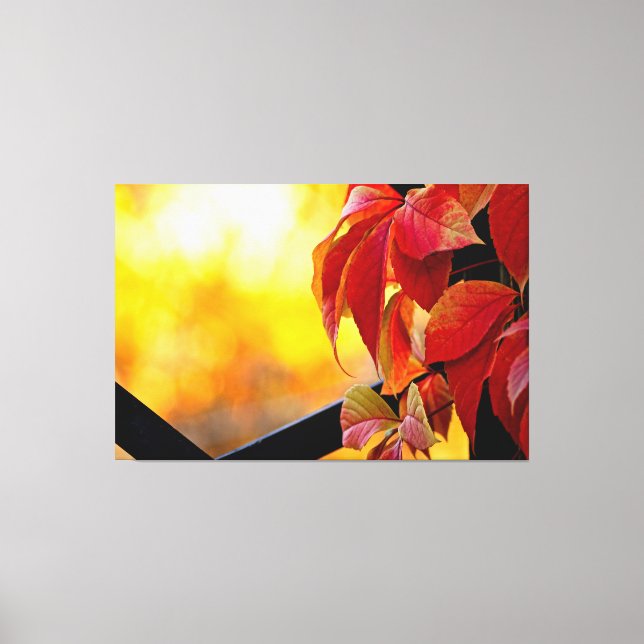 Fascinating red vine leaves in the autumn garden canvas print (Front)