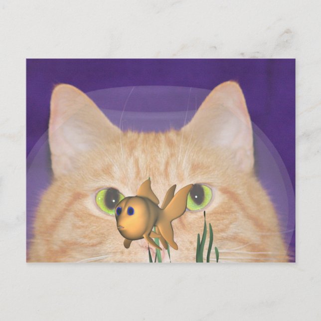 Fascination Postcard (Front)