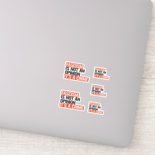 Fascism is not an opinion (Detail)