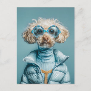 Fashion Dog In Blue Outfit Postcard