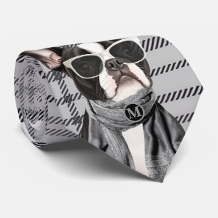 Fashionable Boston Terrier dog and Plaid Monogram Tie