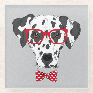 Fashionable Dalmatian Glass Coaster