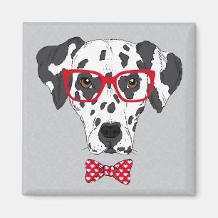 Fashionable Dalmatian Magnet