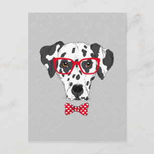 Fashionable Dalmatian Postcard