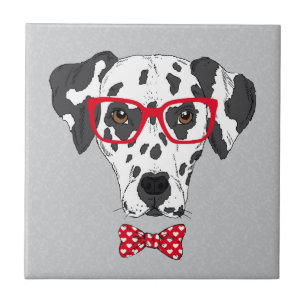 Fashionable Dalmatian Tile