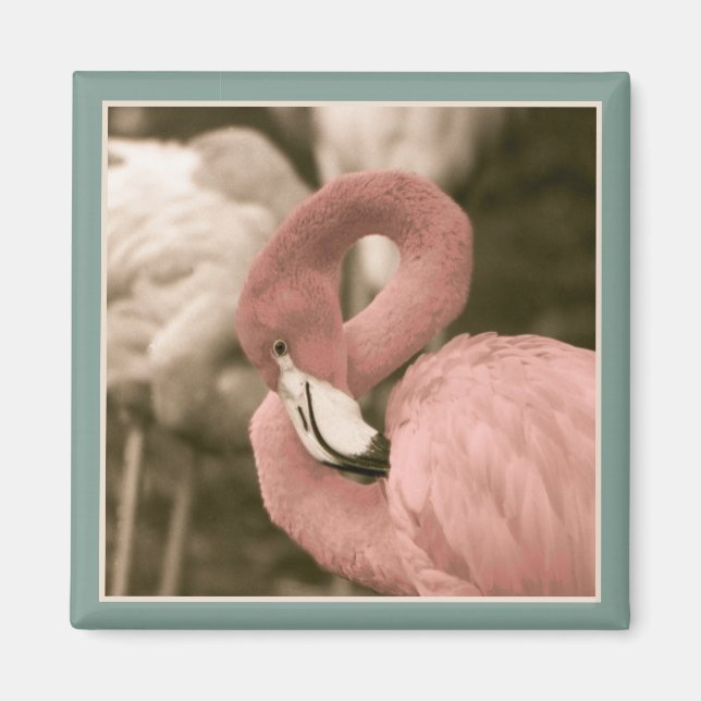 Fashionable Flamingo Magnet (Front)