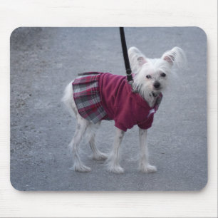Fashionable Powderpuff Mouse Mat