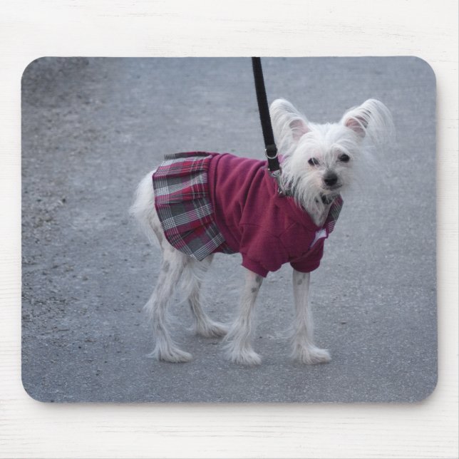 Fashionable Powderpuff Mouse Mat (Front)