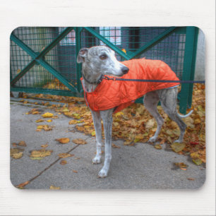 Fashionable Whippet Mouse Mat