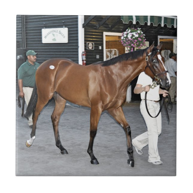 Fasig Tipton Select Sales at Saratoga Tile (Front)
