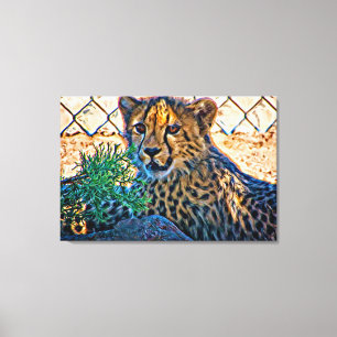 Fast Cat Illustrated Canvas Print