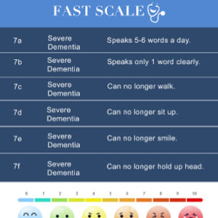 FAST Dementia Scale / Hospice Cheats ID Badge